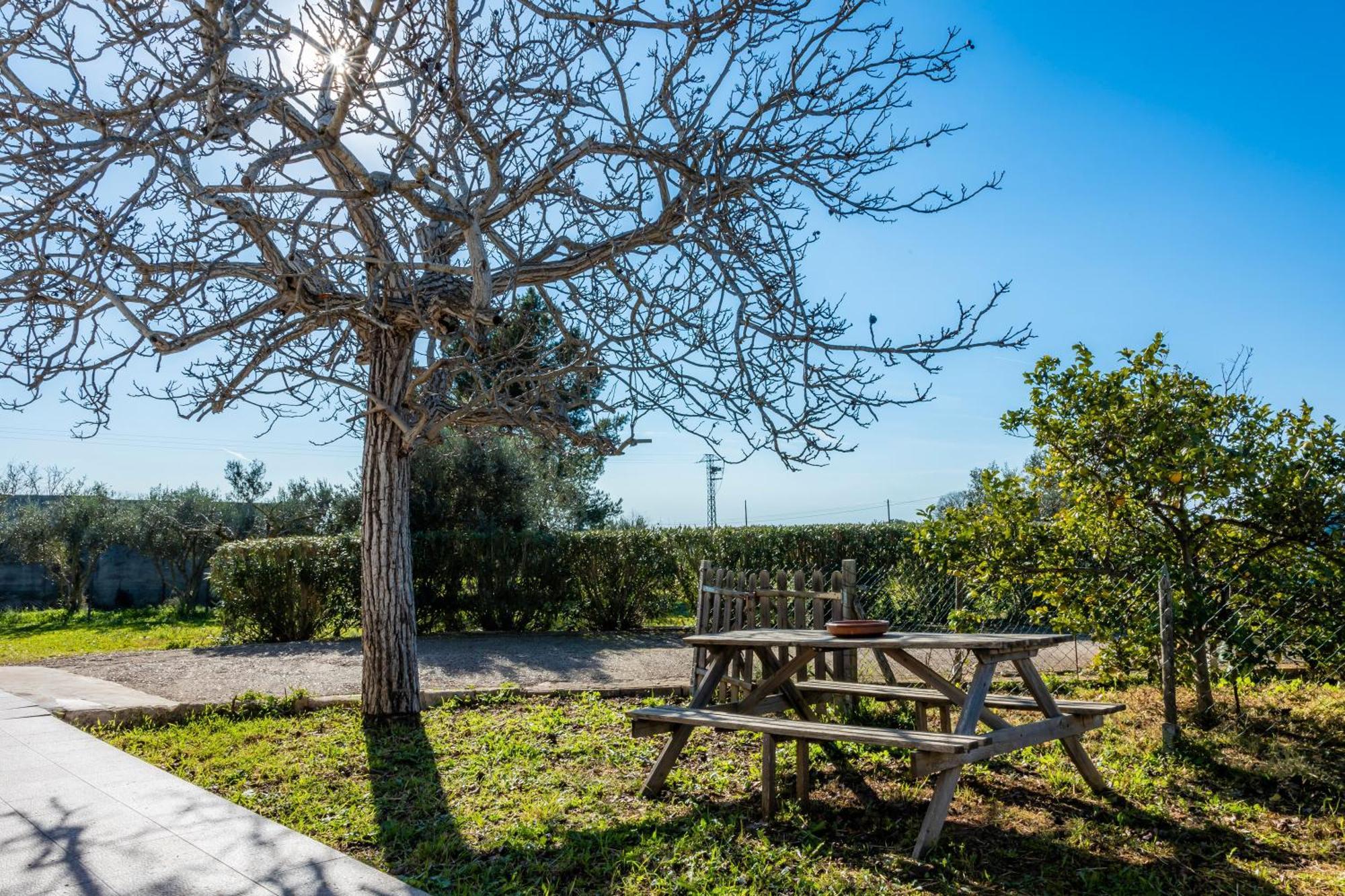 Els Ametlers Villa